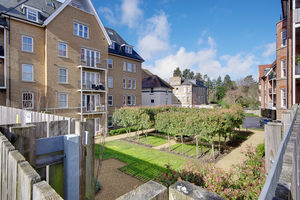 Communal Gardens- click for photo gallery